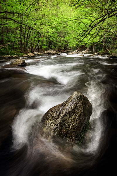 Tremont-river-7,-Great-Smoky-Mountains-National-Park,-Tennessee,-USA - IAN PLANT 