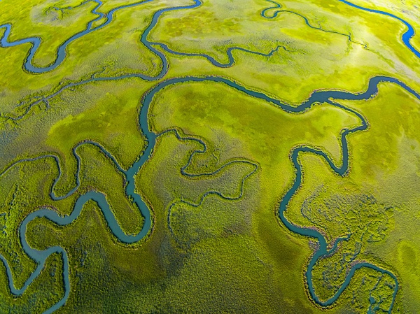 Salt-marsh-aerial-11,-Eastern-Shore,-Virginia,-USA - IAN PLANT