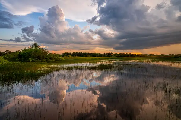 Wetlands Reflections by lisaacampbell