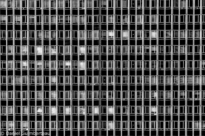 1001 windows