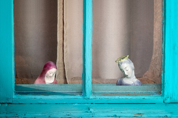 Window Watchers - Rozanne Hakala Photography