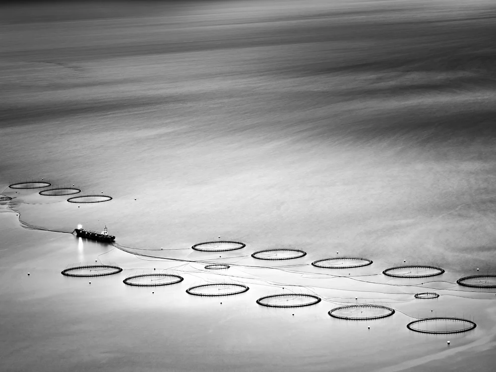 Aerial View of Circular Fish Farms in Monochrome in Faroe Islands