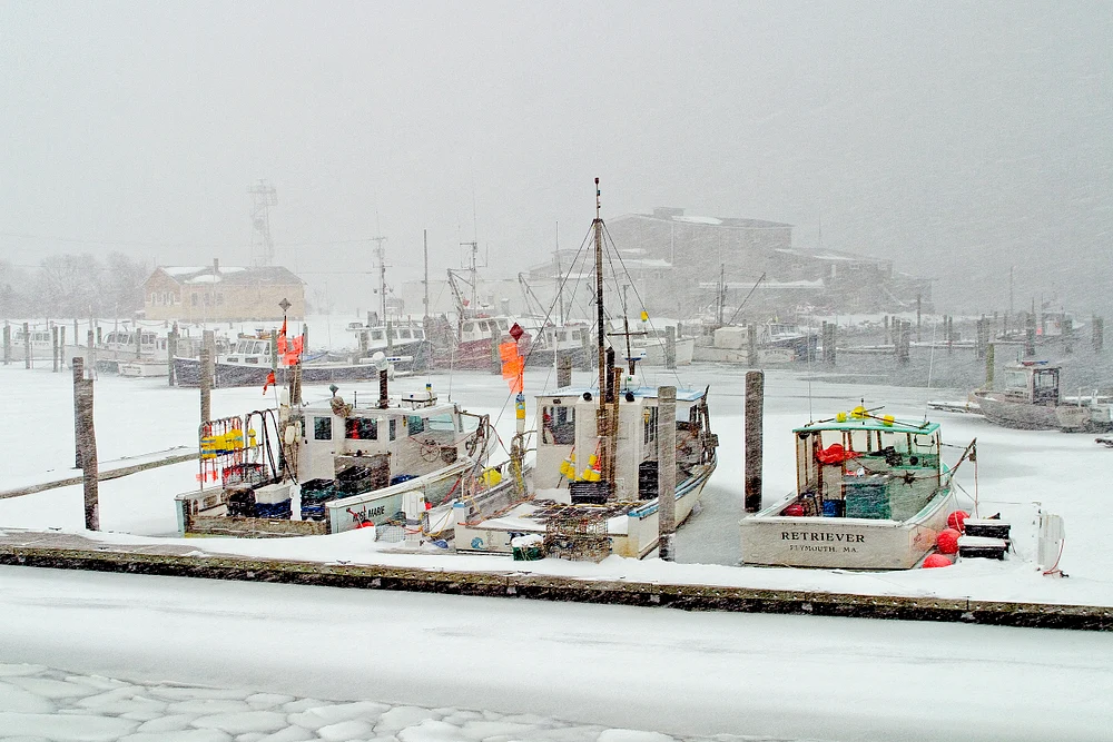Frozen Harbor: Fishing Boats Trapped in Blizzard in Cape Cod