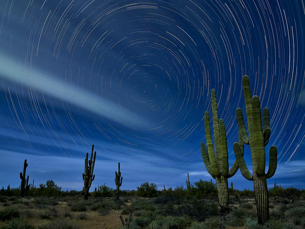 Spiraling Stars Above Majestic Cacti Landscape