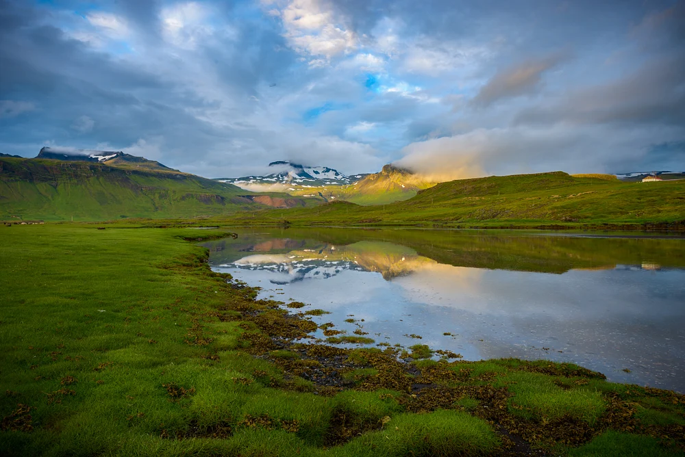 Tranquil Reflections in a Lush Landscape