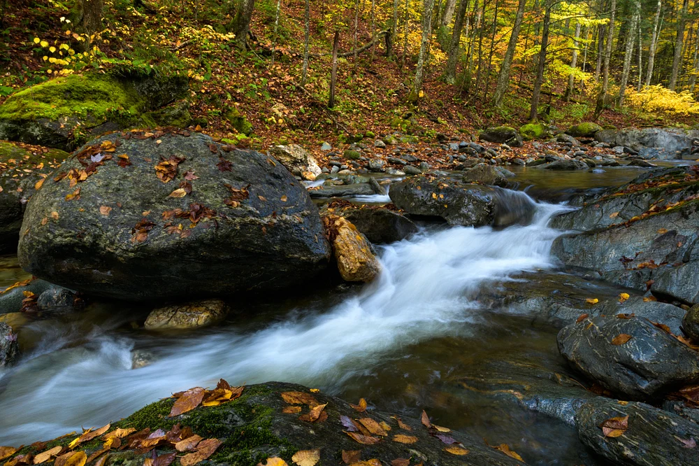 Flowing Stream Through Vermont's Autumn Landscape