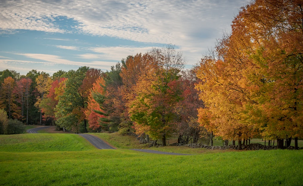Vibrant Autumn Pathway Through Vermont's Colorful Foliage