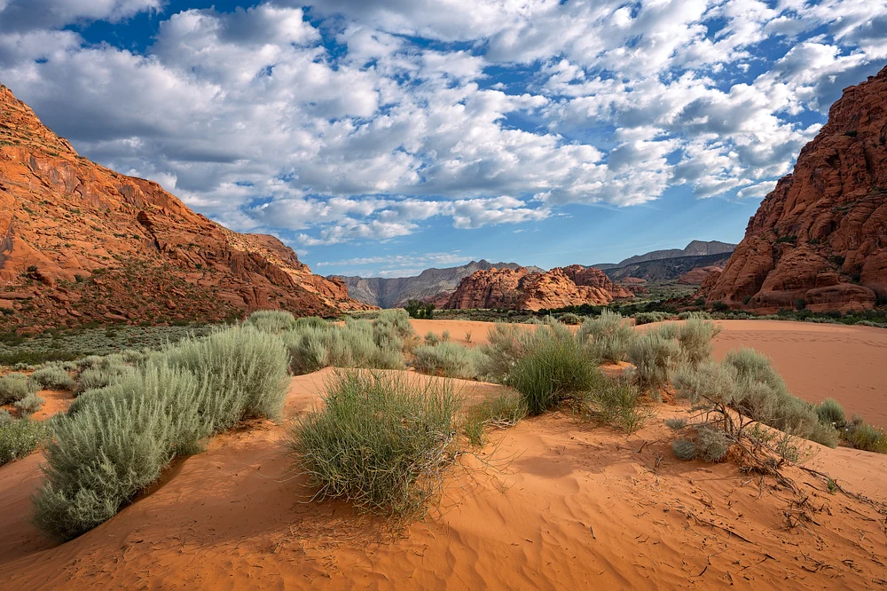 Snow Canyon Sand Dunes