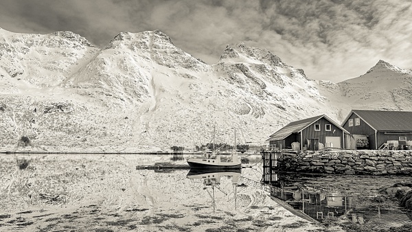 Reflection of a Fjord - Patricia Solano