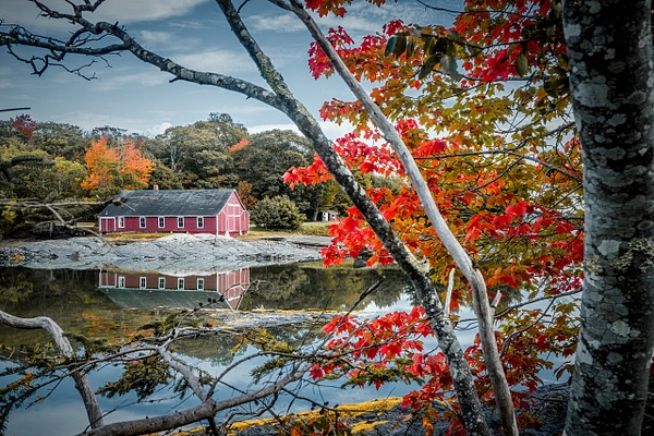 Blue Hill Pond, Maine - Patricia Solano