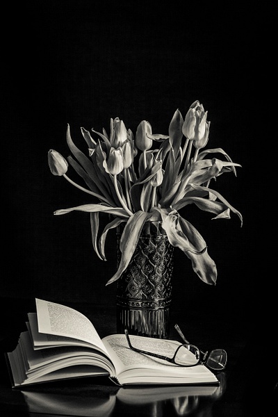Tulips - Patricia Solano
