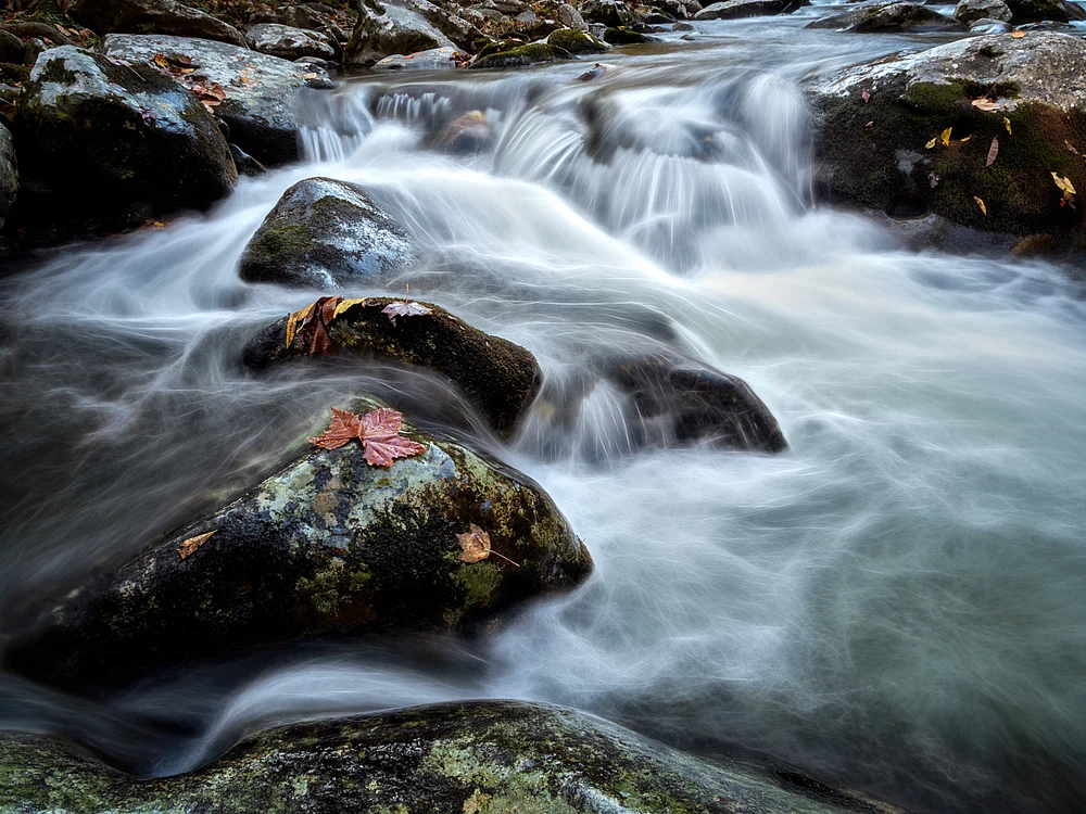 Flowing Waters of Tremont in Tennessee