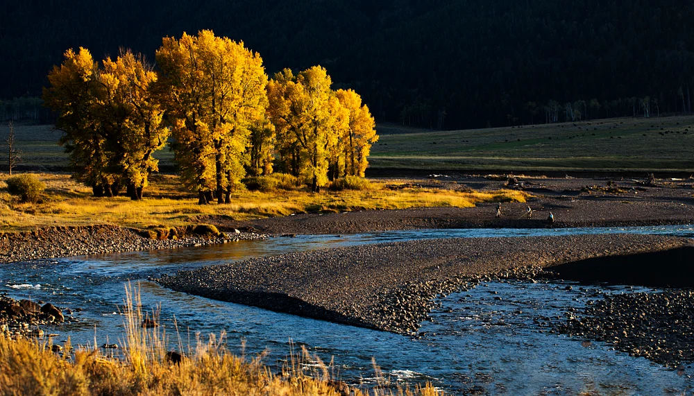 _MG_0272fallrivere