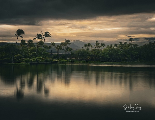 Island Sunrise - Coastal Escapes - Shirley Day Photography