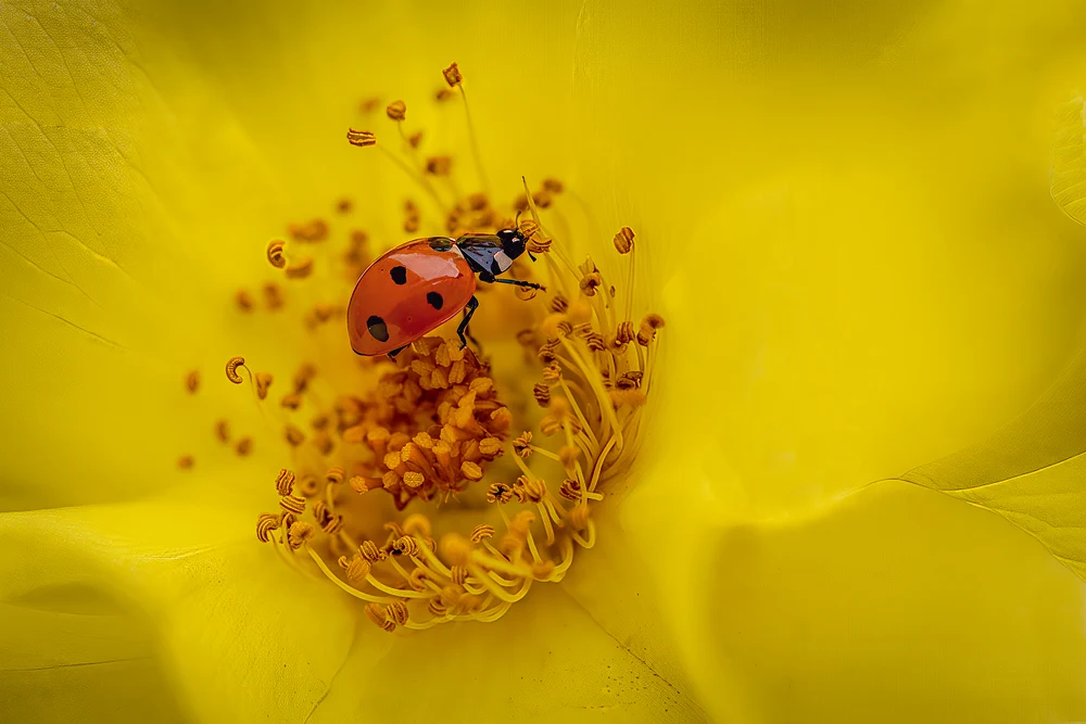 2025_06_30_Macro _0021-TPAIEdit-PSEdit