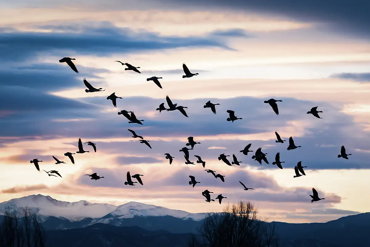Don Gardner Photography