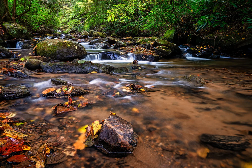 2021_10_16_Blue Ridge NC_0020FocusStacked-PSandLAIEdit