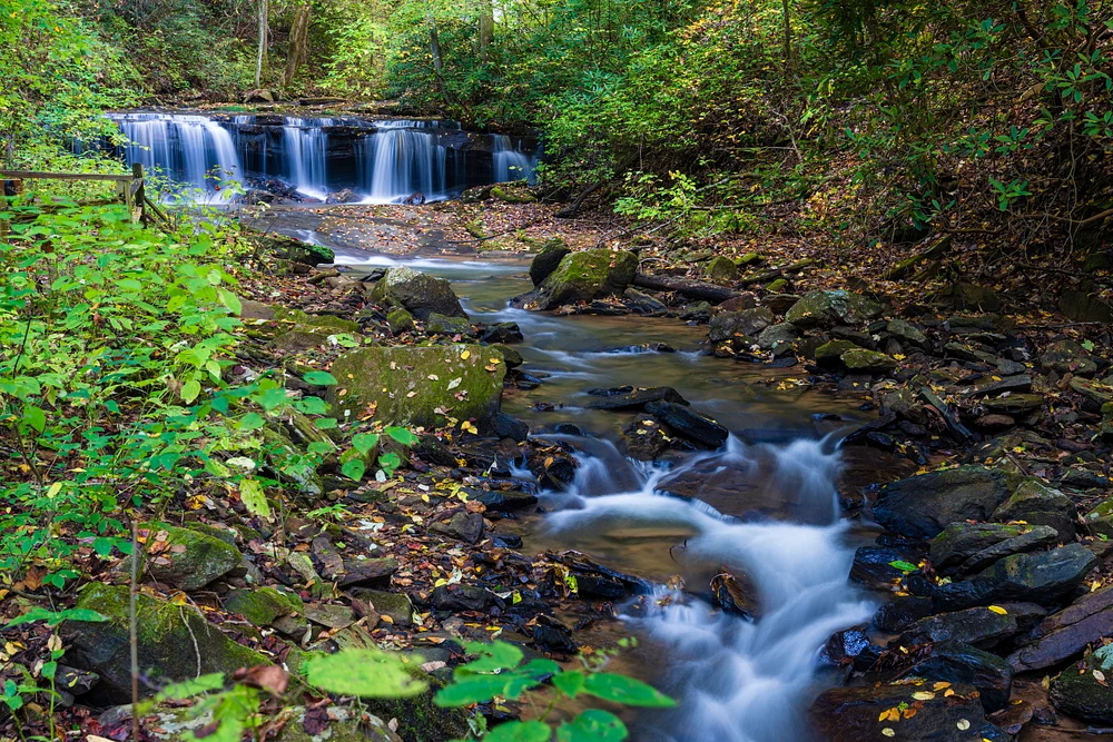 2021_10_15_Blue Ridge NC_0003