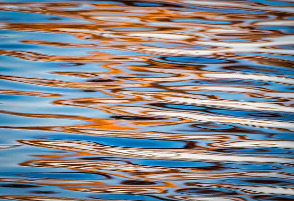Carmel Swirl - Miscellaneous - Don Gardner Photography