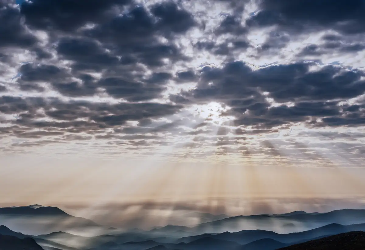 Don Gardner Photography