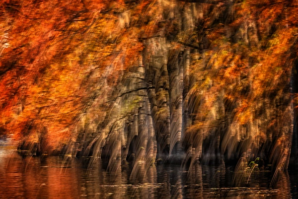 Dreamlike autumn reflections on Caddo Lake with vibrant orange foliage.