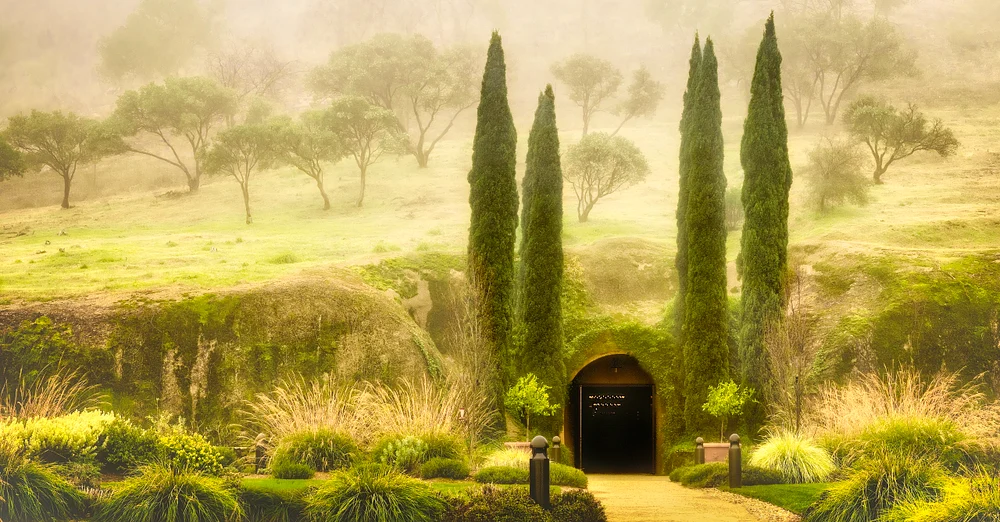 Veil of Morning at Antinori