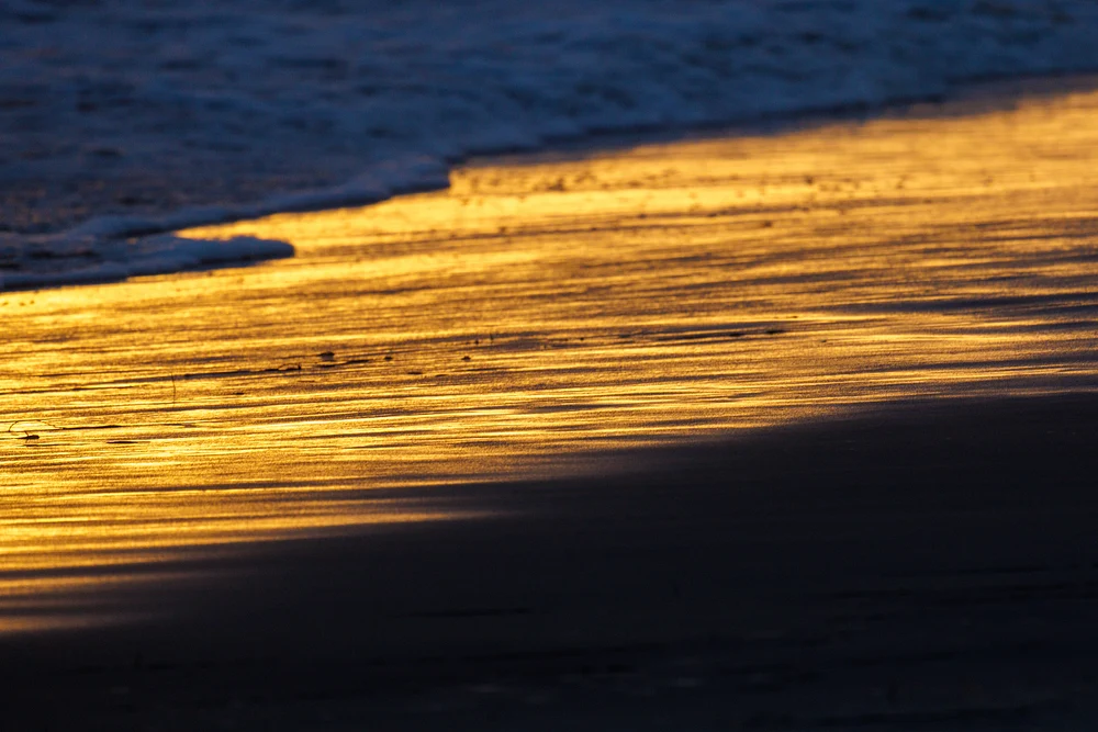 Oceanside Harbor_20220710_ RJO_0640