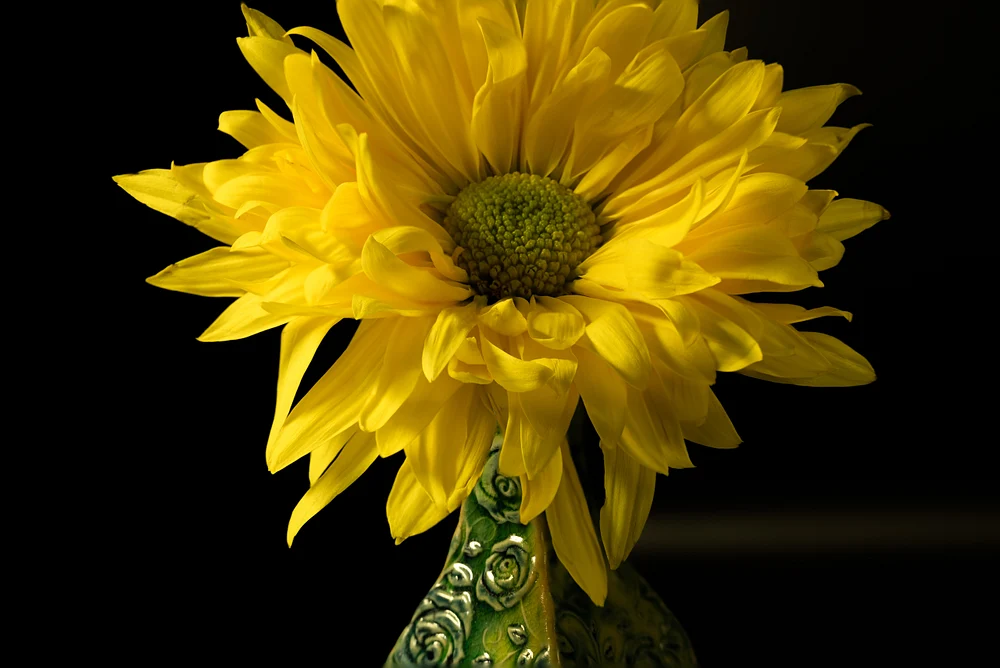 Yellow Flower
