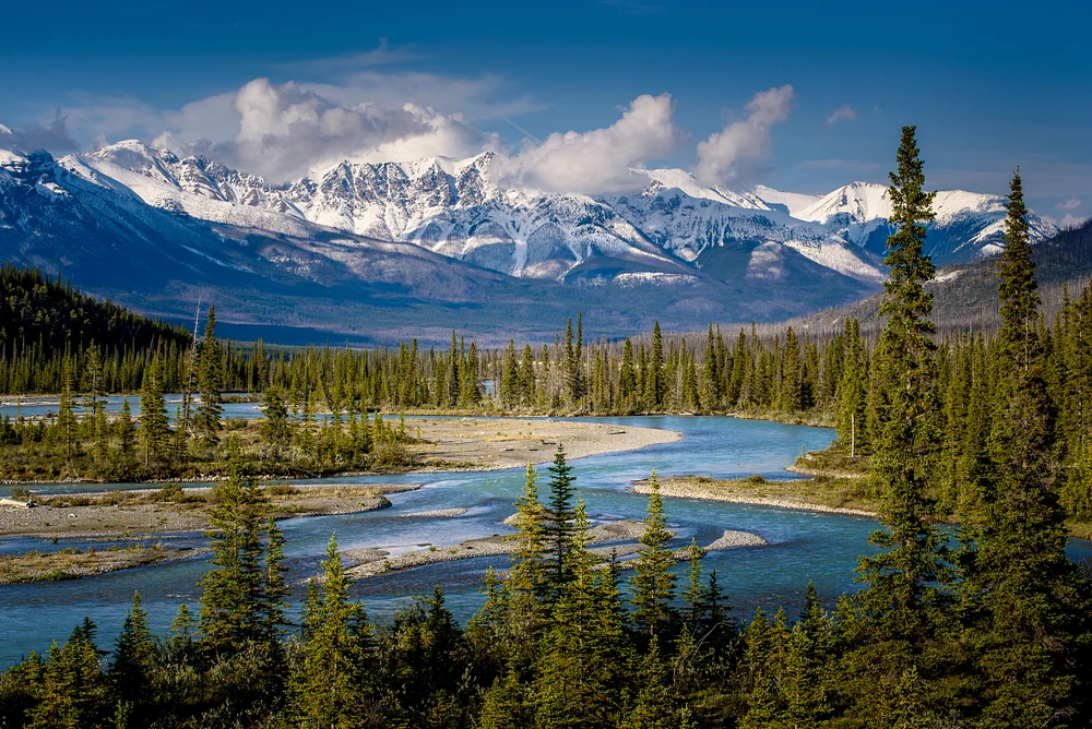 Canadian Rockies Bow River Valley