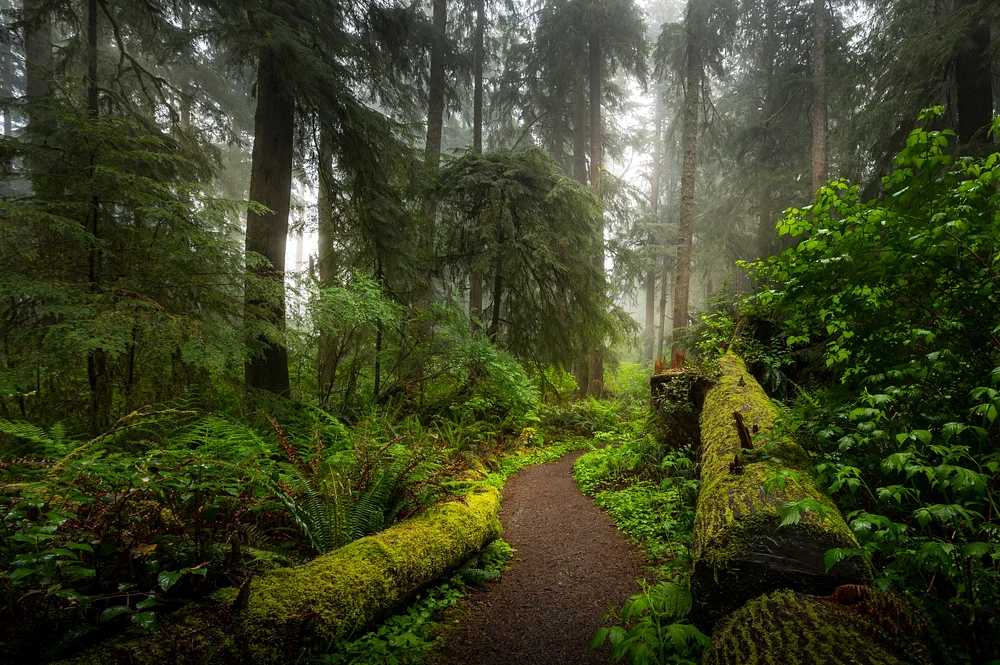 Olympic National Park