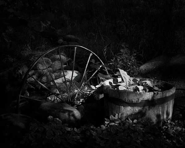 Barbara Altevers Photography
