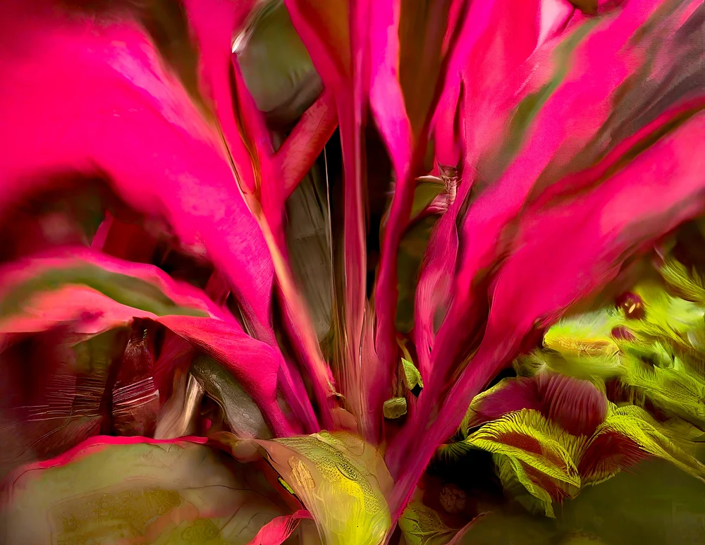 botanicals-03 botanicals-03