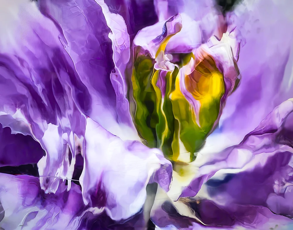 botanicals-01 botanicals-01