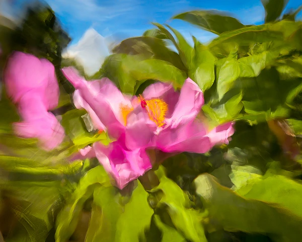 Abstract Photography by Julie Markes