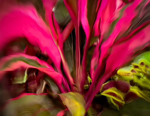 Abstract Photography by Julie Markes