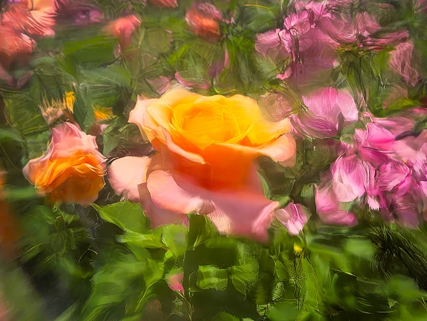 Abstract Photography by Julie Markes