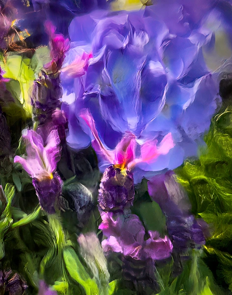 Abstract Photography by Julie Markes