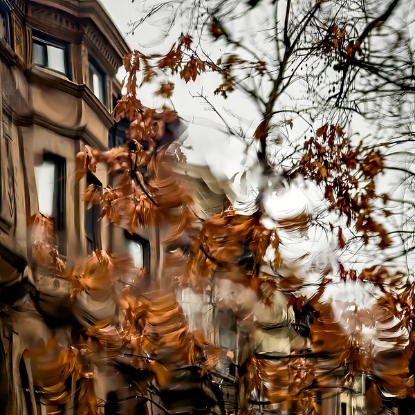 IMG_4108-Edit - Architecture - Abstract Photography by Julie Markes