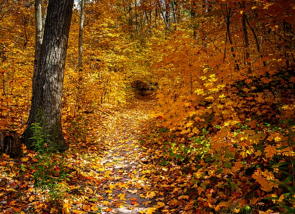 Autumn Passage - PortfolioDuane - Duane Behie Photography
