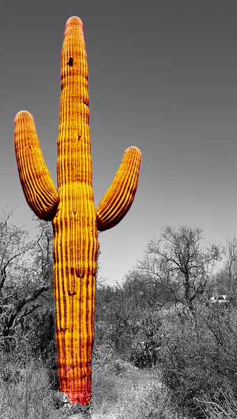 Surreal geographies 04 - Surreal Geographies - Daniel Royer Photography
