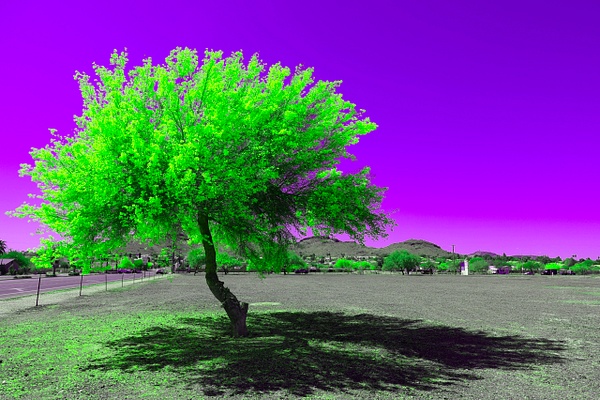 Surreal geographies 11 - Surreal Geographies - Daniel Royer Photography