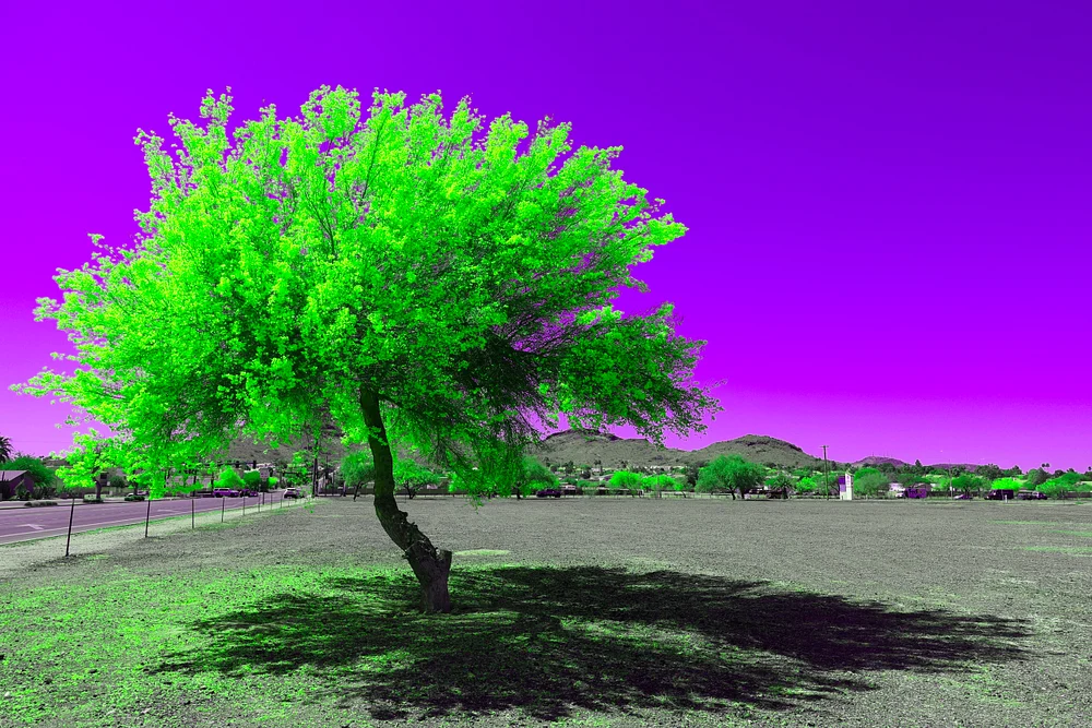 Surreal geographies 11