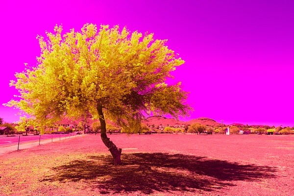 Surreal geographies 10 - Surreal Geographies - Daniel Royer Photography