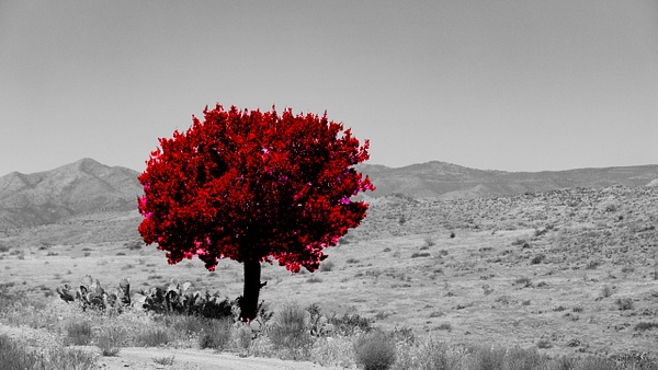 Surreal geographies 06 - Surreal Geographies - Daniel Royer Photography