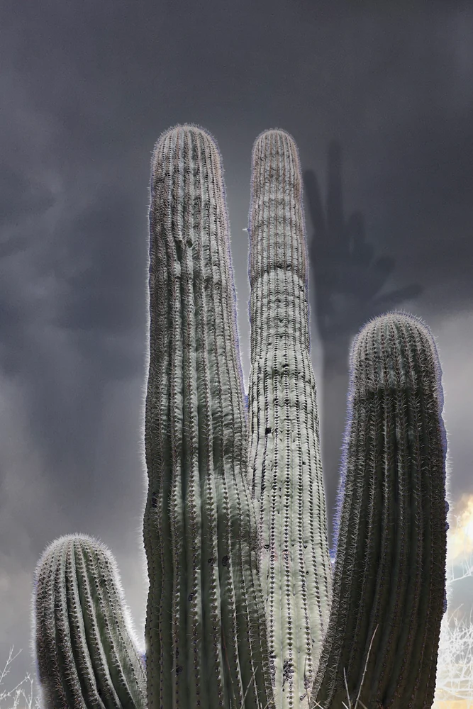 Surreal geographies 15