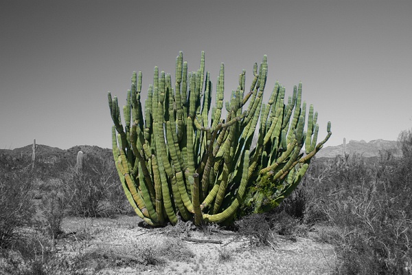 Surreal geographies 18 - Surreal Geographies - Daniel Royer Photography