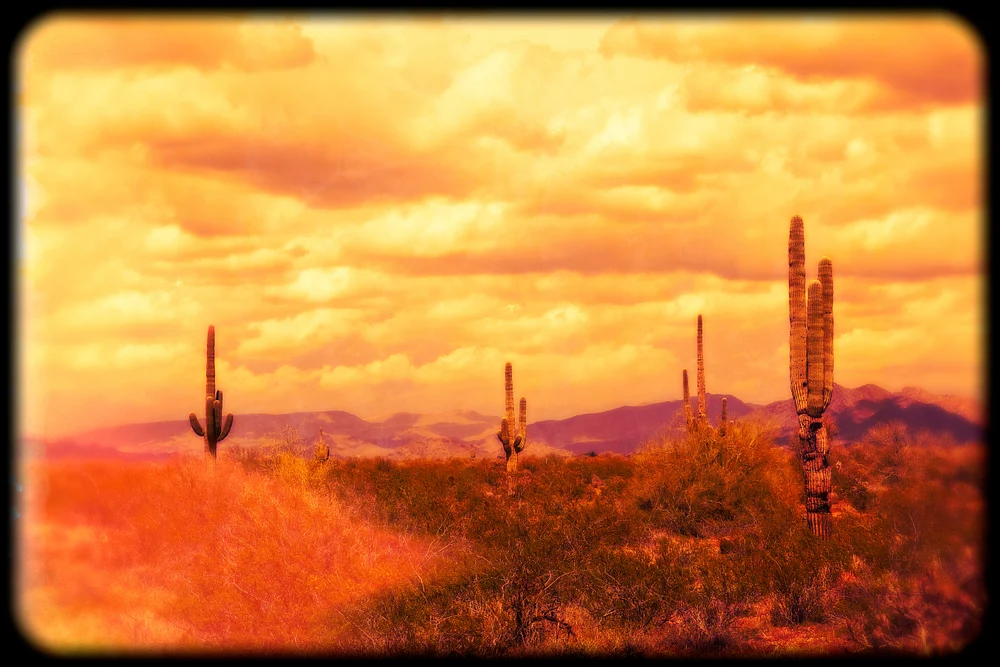 Surreal geographies 12