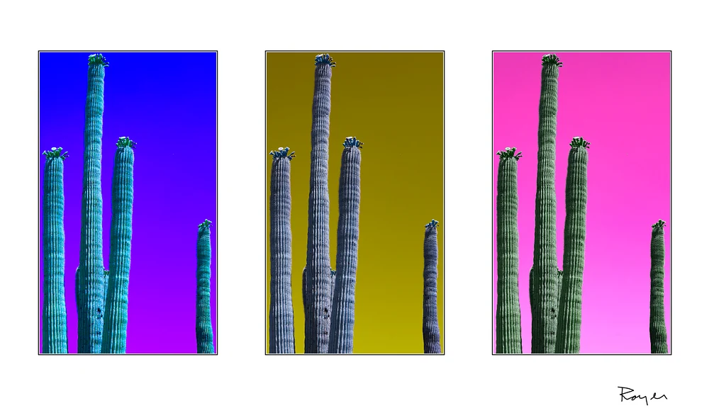 Surreal geographies 19