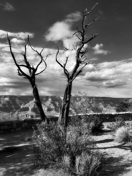 B &amp; W 03 - 1NEW__BLACK &amp; WHITE - Daniel Royer Photography