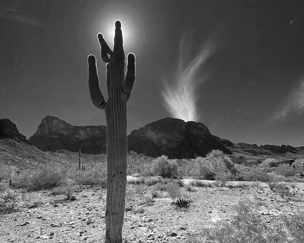 B &amp; W 06 - 1NEW__BLACK &amp; WHITE - Daniel Royer Photography